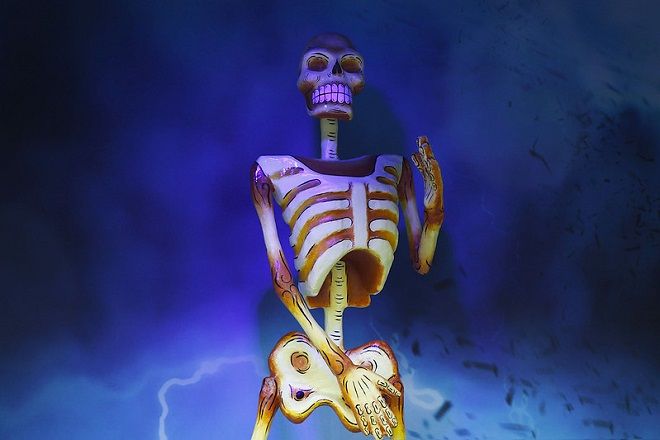 CALAVERA DE CARTÓN FONDO AZUL