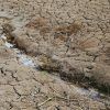 DROUGHT SEQUÍA