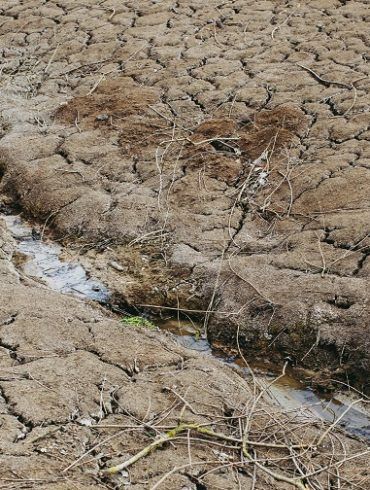 DROUGHT SEQUÍA