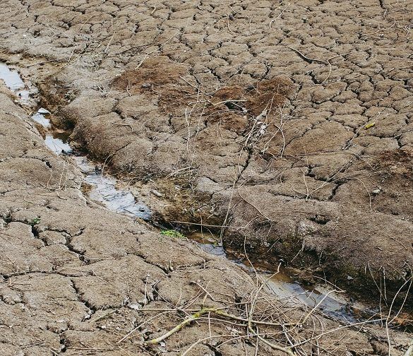 DROUGHT SEQUÍA