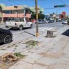 MIMBRE TALADO CRUCERO MADERO Y JUAREZ TORREON