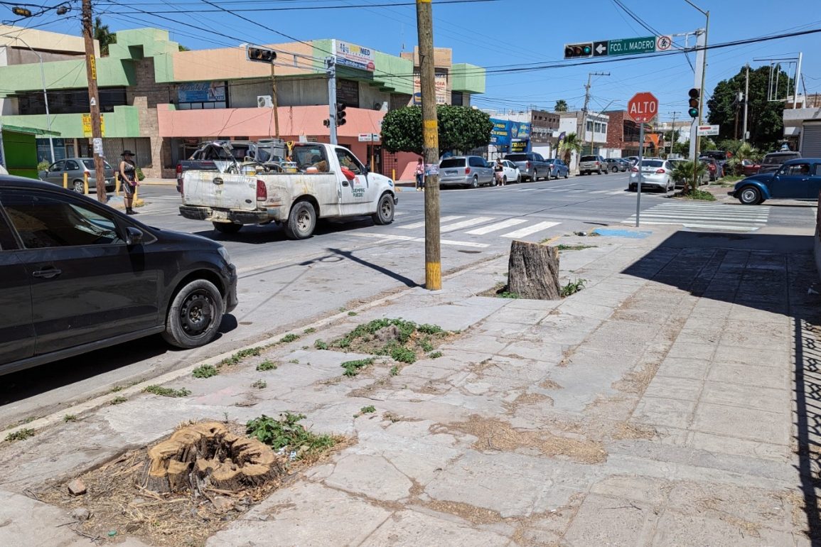 MIMBRE TALADO CRUCERO MADERO Y JUAREZ TORREON