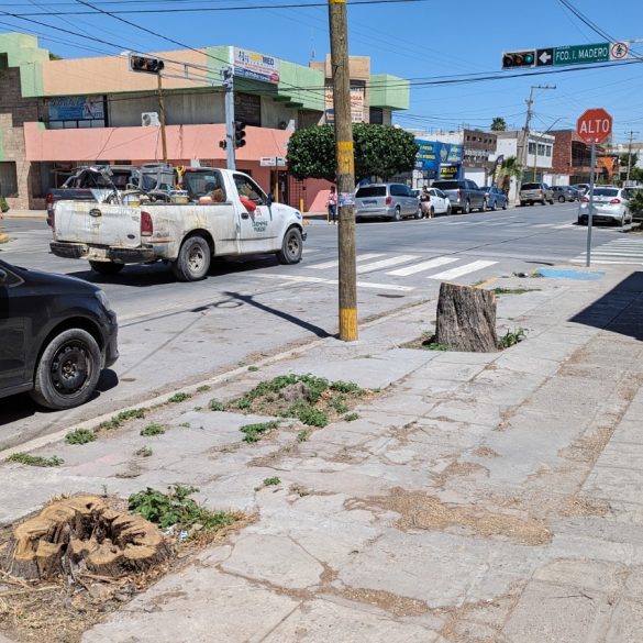 MIMBRE TALADO CRUCERO MADERO Y JUAREZ TORREON