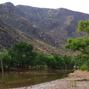 Reserva Ecológica Municipal Sierra y Cañón de Jimulco