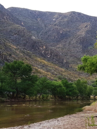 Reserva Ecológica Municipal Sierra y Cañón de Jimulco