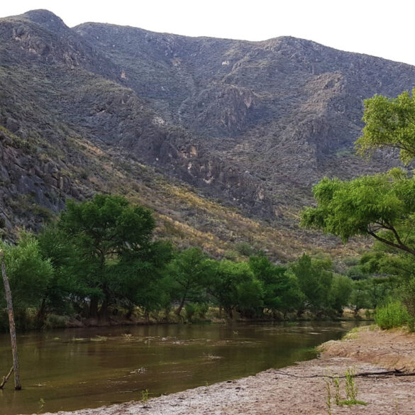 Reserva Ecológica Municipal Sierra y Cañón de Jimulco