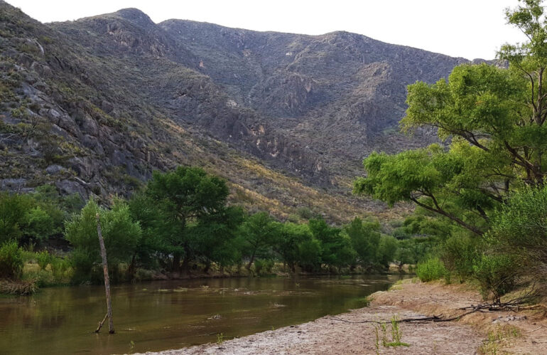 Reserva Ecológica Municipal Sierra y Cañón de Jimulco