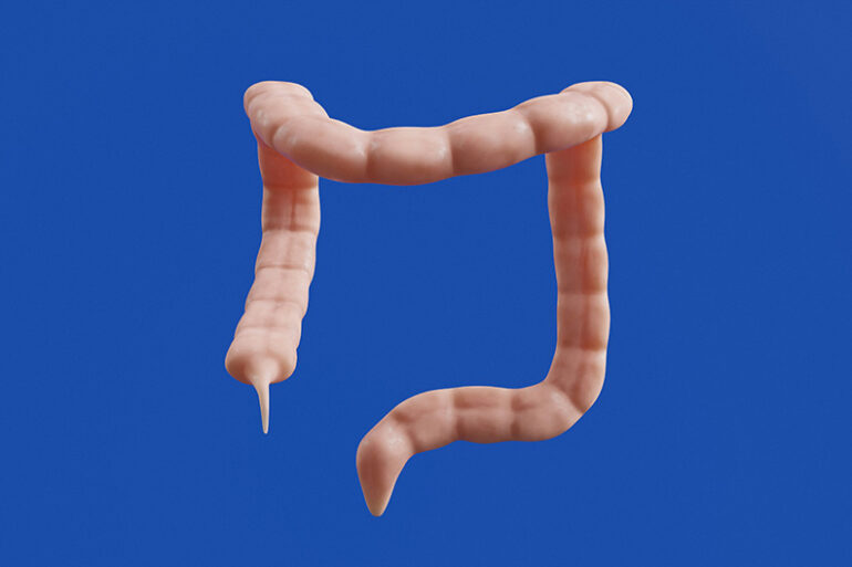 Colon ilustración